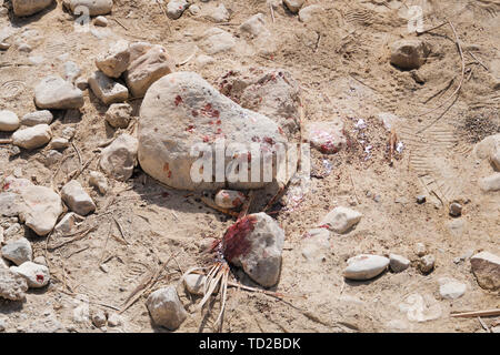 Close up di macchie di sangue fresco sul pietrisco trucioli nel deserto. Omicidio con l uso della pietra. Attaccare con hard rock. Uccidere in un deserto Foto Stock