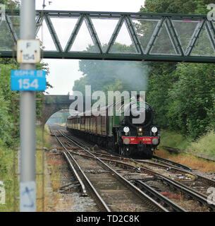 Mayflower LNER Thompson Classe B1 61306 locomotiva a vapore, il Royal Windsor vapore Express, Hounslow stazione ferroviaria, LONDRA, REGNO UNITO, 11 giugno 2019, Foto di Foto Stock