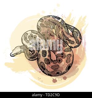 Disegnato a mano stile sketch python isolati su sfondo bianco. Illustrazione Vettoriale. Illustrazione Vettoriale