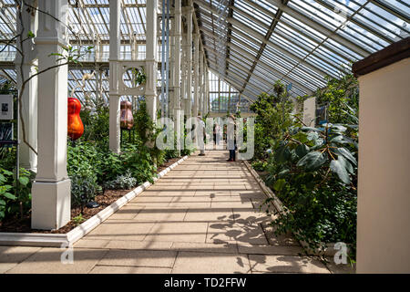 Turisti che si godono la Chihuly presenta nel moderato House di Kew. Foto Stock