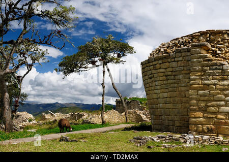 Il Perù, Kuelap abbinati in grandezza solo mediante il Machu Picchu, questa cittadella in rovina città in montagna vicino a Chachapoyas. Foto Stock