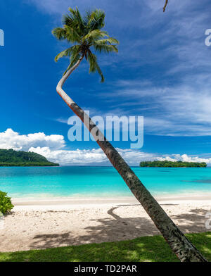 Porta incredibile Orly spiaggia sabbiosa con palme, Espiritu Santo Isola, Vanuatu. Foto Stock