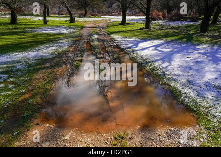 Neve, fango e fanghiglia sul prato in un parco Foto Stock