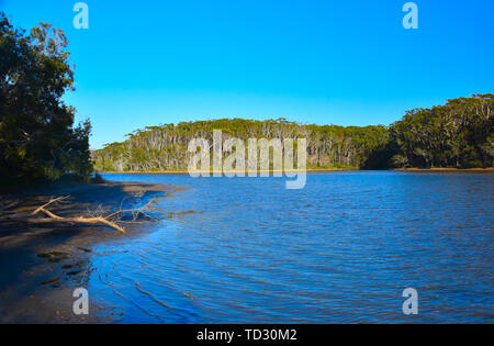 Woolgoolga Lago e creek sono sorrunded da alberi vicino a Coffs Harbour. Woolgoolga Lago è un ottimo posto per la canoa, kayak, nuoto e birdwatchi Foto Stock