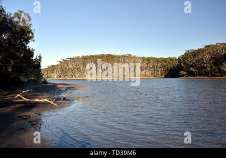 Woolgoolga Lago e creek sono sorrunded da alberi vicino a Coffs Harbour. Woolgoolga Lago è un ottimo posto per la canoa, kayak, nuoto e birdwatchi Foto Stock