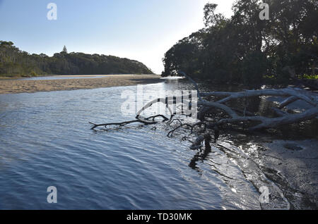 Woolgoolga Lago e creek sono sorrunded da alberi vicino a Coffs Harbour. Woolgoolga Lago è un ottimo posto per la canoa, kayak, nuoto e birdwatchi Foto Stock