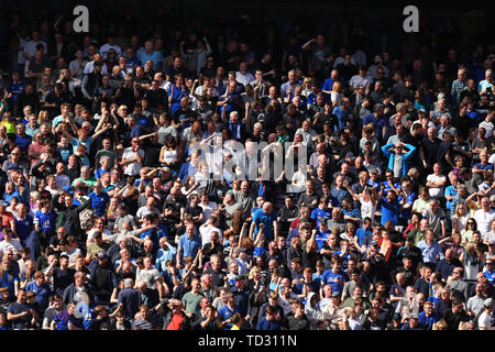 Everton tifosi festeggiare dopo aver udito la notizia del Manchester City vincenti a Brighton & Hove Albion - Tottenham Hotspur v Everton, Premier League Tottenham Hotspur Stadium, London - 12 Maggio 2019 solo uso editoriale - DataCo restrizioni si applicano Foto Stock