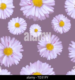 Vettore di Seamless pattern con margherite rosa scuro su sfondo rosa Illustrazione Vettoriale