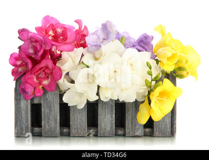 Bel bouquet di freesias nel cesto in legno, isolato su bianco Foto Stock