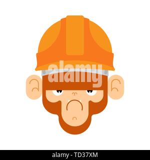 Scimmia in costruzione casco. marmoset builder. Illustrazione Vettoriale Illustrazione Vettoriale