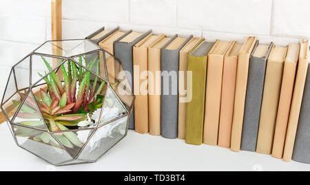 Botaniche home decor interno concetto. Libri e piante sul ripiano Foto Stock