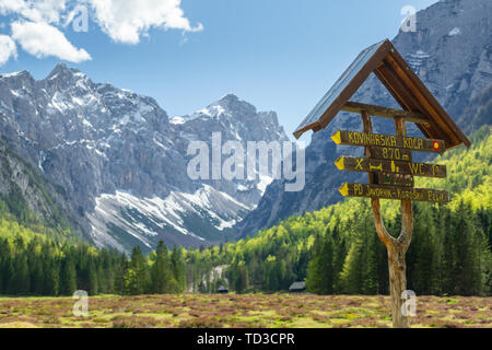 La molla nella valle di Krma presso le Alpi Giulie con fiori selvatici blooming, il parco nazionale del Triglav, Slovenia Foto Stock