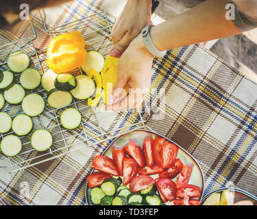 All'aperto vista dall'alto sulla tovaglia a scacchi durante il processo di cottura. La donna il taglio di verdura e frutta a un picnic Foto Stock