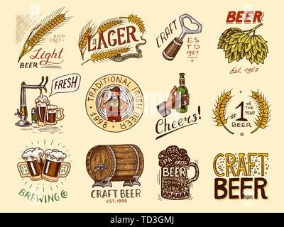 Bottiglia di birra in mano con la scritta Cheers toast. Segale e grano. Set di etichette vintage e badge per poster. Disegnato a mano disegno inciso per Illustrazione Vettoriale