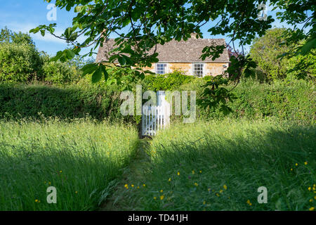 Percorso falciata attraverso erba lunga a Cotswold cottage in pietra. Wyck Rissington, Cotswolds, Gloucestershire, Inghilterra Foto Stock