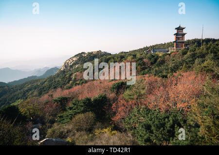 Il Monte Taishan Scenic Area Foto Stock