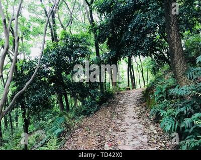 Natura, ossigeno naturale bar, sentiero di montagna, con montagne verdi e verde acqua, pittoresco Foto Stock