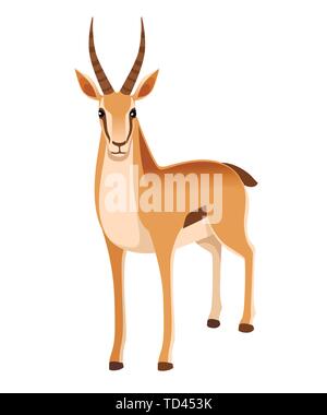 Selvatico Africano nero-tailed gazelle con lunghe corna cartoon animale piatto design illustrazione vettoriale su sfondo bianco vista frontale antilopi. Illustrazione Vettoriale