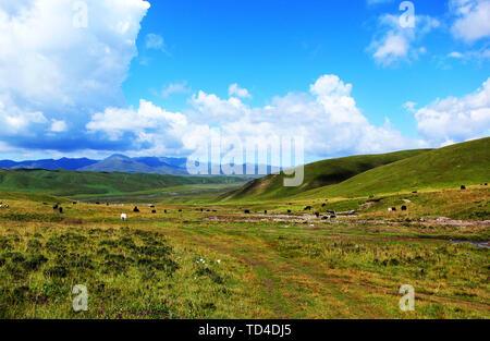 Gannan Sankoh Prairie Dagu Beach Prairie Foto Stock