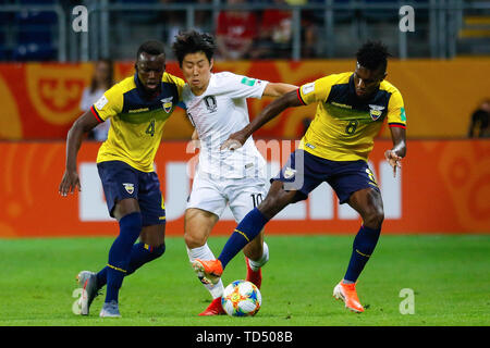 Lublin, Polonia. 11 Giugno, 2019. Lee Kangin (C) della Corea del Sud il sistema VIES con Jhon Espinoza (L) e Jose Cifuentes dell Ecuador durante il FIFA U-20 World Cup Semifinal match tra Ecuador e della Corea del Sud di Lublin, Polonia, 11 giugno 2019. La Corea del Sud ha vinto 1-0 per entrare in finale. Credito: Adam Starszynski/Xinhua/Alamy Live News Foto Stock