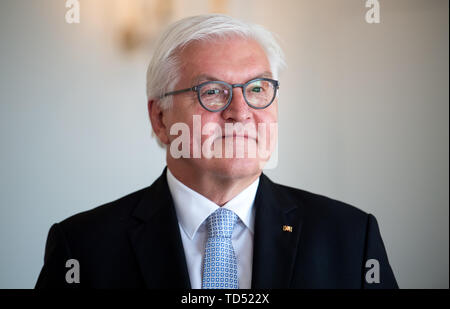 Reykjavik, Islanda. 12 Giugno, 2019. Il Presidente federale Frank-Walter Steinmeier è in occasione di una conferenza stampa con il presidente dell'Islanda, Jóhannesson, alla residenza del presidente dopo i suoi colloqui. Presidente Steinmeier e sua moglie sono su una due giorni di visita di stato in Islanda. Credito: Bernd von Jutrczenka/dpa/Alamy Live News Foto Stock