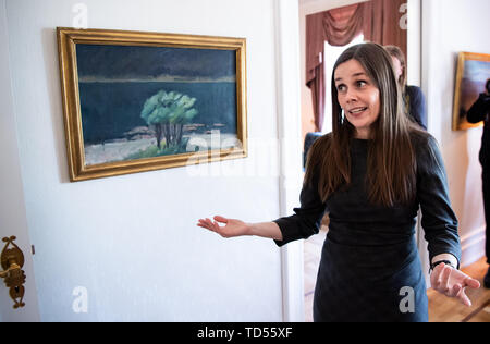 Reykjavik, Islanda. 12 Giugno, 2019. Jakobsdóttir Katrín, Primo Ministro di Islanda, accoglie il Presidente Steinmeier a una discussione nella casa di ospiti del governo islandese. Presidente Steinmeier e sua moglie sono su una due giorni di visita di stato in Islanda. Credito: Bernd von Jutrczenka/dpa/Alamy Live News Foto Stock