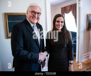 Reykjavik, Islanda. 12 Giugno, 2019. Presidente Frank-Walter Steinmeier e Katrin Jakobsdottir, Primo Ministro di Islanda, si incontreranno nella guest house del governo islandese. Presidente Steinmeier e sua moglie sono su una due giorni di visita di stato in Islanda. Credito: Bernd von Jutrczenka/dpa/Alamy Live News Foto Stock