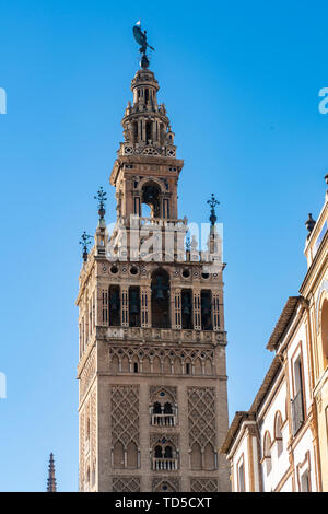 La Giralda, la torre campanaria della cattedrale di Siviglia, originariamente il minareto per la grande moschea di Siviglia, Sito Patrimonio Mondiale dell'UNESCO, Siviglia, una Foto Stock