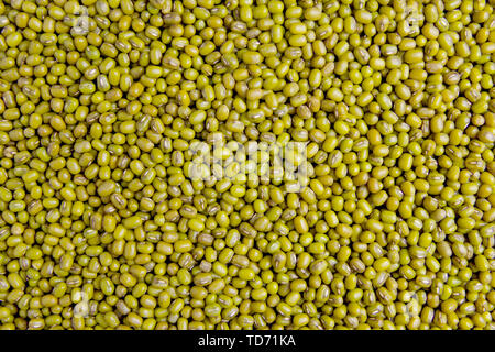Mung bean o bean verde bean di sfondo Foto Stock