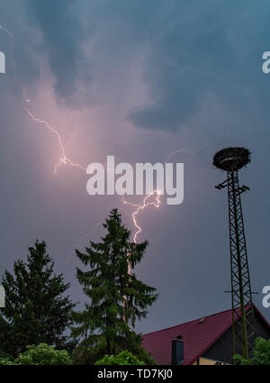 Sieversdorf, Germania. 12 Giugno, 2019. Un fulmine da un temporale illumina il cielo di sera al di sopra di una cicogna il nido e una casa del tetto. Credito: Patrick Pleul/dpa-Zentralbild/dpa/Alamy Live News Foto Stock