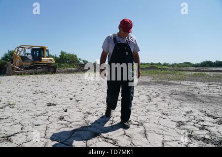 Missouri, USA. Decimo Giugno, 2019. Blake Hurst, presidente del Missouri Farm Bureau, anche un mais e soia agricoltore Tarkio, Northwest Missouri, passeggiate sulla sua pioggia-campi danneggiati in Tarkio, Missouri, Stati Uniti, 10 giugno 2019. Per andare con funzione: gli agricoltori del Midwest devastato da inondazioni storiche, USA-Cina le tensioni commerciali Credito: Liu Jie/Xinhua/Alamy Live News Foto Stock