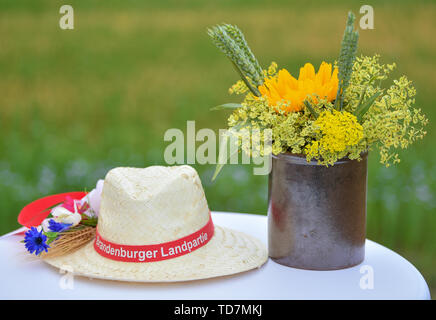 Schlepzig, Germania. Xiii Giugno, 2019. Un cappello di paglia con la scritta 'Brandenburger Landpartie' si trova sul bordo di una pressa data per l'olio di lino blossom. Il prossimo fine settimana 15./16.06.2019 il venticinquesimo Brandenburger Landpartie avrà luogo. Provare gli asparagi e fragole, vedere macchine agricole, prendere un giro in carrozza: 225 aziende tra le Uckermark e il Niederlausitz vi invitano al venticinquesimo Brandenburger Landpartie il prossimo fine settimana. Circa centomila visitatori sono attesi. Credito: Patrick Pleul/dpa-Zentralbild/ZB/dpa/Alamy Live News Foto Stock