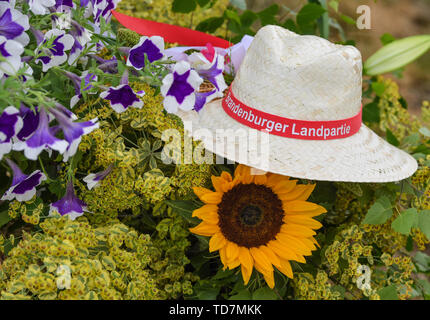 Schlepzig, Germania. Xiii Giugno, 2019. Un cappello di paglia con la scritta 'Brandenburger Landpartie' si trova sul bordo di una pressa data per l'olio di lino blossom. Il prossimo fine settimana 15./16.06.2019 il venticinquesimo Brandenburger Landpartie avrà luogo. Provare gli asparagi e fragole, vedere macchine agricole, prendere un giro in carrozza: 225 aziende tra le Uckermark e il Niederlausitz vi invitano al venticinquesimo Brandenburger Landpartie il prossimo fine settimana. Circa centomila visitatori sono attesi. Credito: Patrick Pleul/dpa-Zentralbild/ZB/dpa/Alamy Live News Foto Stock