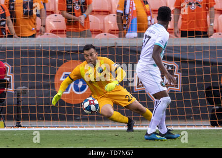 Houston, Texas, Stati Uniti d'America. 11 Giugno, 2019. Austin Bold FC portiere Diego Restrepo (24) durante un match tra Austin FC e Houston Dynamo BBVA Stadium di Houston, Texas. A metà Houston Dynamo conduce 3-0 Maria Lysaker/CSM/Alamy Live News Foto Stock