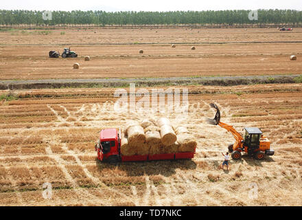 Lianyungang, cinese della provincia di Jiangsu. 12 Giugno, 2019. Macchine agricole raccogliere paglia di grano al campo di Haizhou del distretto di Lianyungang, est cinese della provincia di Jiangsu, 12 giugno 2019. Il riciclo di paglia di grano viene comunemente condotta nel corso del processo di raccolta del grano. Credito: Geng Yuhe/Xinhua/Alamy Live News Foto Stock