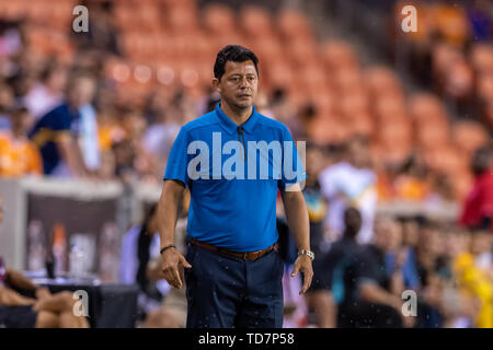 Houston, Texas, Stati Uniti d'America. 11 Giugno, 2019. Houston Dynamo head coach di Wilmer Cabrera durante un match tra Austin FC e Houston Dynamo BBVA Stadium di Houston, Texas. Houston Dynamo vincere 3-2 . Maria Lysaker/CSM/Alamy Live News Foto Stock