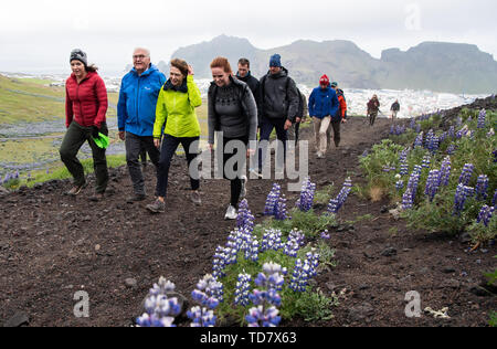 13 giugno 2019, l'Islanda, Westmännerinseln: Presidente Frank-Walter Steinmeier e sua moglie Elke Büdenbender salire il bordo del cratere del vulcano Eldfell. Presidente Steinmeier e sua moglie sono su una due giorni di visita di stato in Islanda. Foto: Bernd von Jutrczenka/dpa Foto Stock