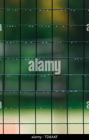 Recinzione dalla griglia di close-up con gocce dopo la pioggia Foto Stock