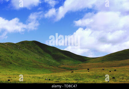 Gannan Sankoh Prairie Dagu Beach Prairie Foto Stock