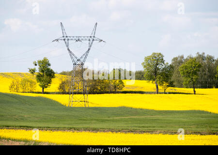 Linee elettriche ad alta tensione e il campo di colza in fiore nel Klonowka, Polonia. Il 7 maggio 2019 © Wojciech Strozyk / Alamy Stock Photo Foto Stock
