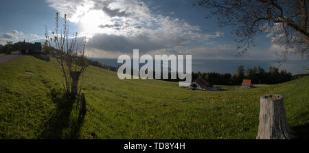 Luce della Sera sul Lago di Costanza visto da "cinque paesi vista' al di sopra di Rorschach Foto Stock