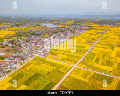 National Highway 108 attraverso Hanzhong olio di colza Foto Stock