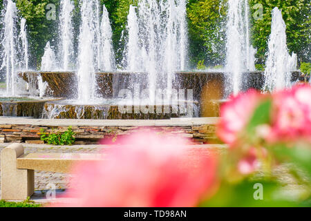 Dettaglio della fontana artesiana in Bucharest City Park (Alexandru Ioan Cuza parco/IOR) con corallo/le rose rosa in primo piano e una panca in pietra, durante un ve Foto Stock