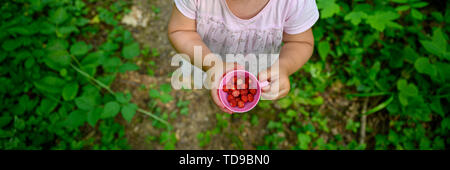 Vista superiore del piccolo bimbo ragazza tenendo in piedi su un percorso nella natura tenendo una tazza piena di fragole selvatiche. Foto Stock