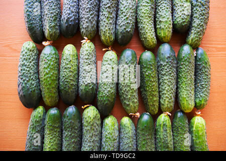 Fresco verde cetrioli. Utile di verdure e cibo. Cibo vegetariano. Il cetriolo contiene vitamine B, A. Foto Stock