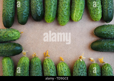 Fresco verde cetrioli. Utile di verdure e cibo. Cibo vegetariano. Copia dello spazio. Foto Stock