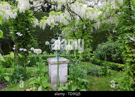 Il Glicine Bianco "Alba", Clematis 'giorno di nozze' e white alliums formano parte del giardino bianco a Renishaw Hall e giardini, Derbyshire, Inghilterra - Giugno Foto Stock