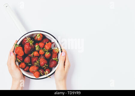 Vista superiore della femmina mani fragole fresche in scolapasta su sfondo bianco con copia spazio. Foto Stock