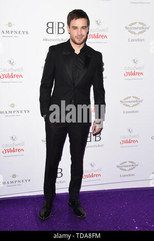 Londra, Regno Unito. Xiii Giugno, 2019. Londra, Regno Unito. Giugno 13, 2019: Liam Payne arrivando per Caudwell Butterfly Ball 2019 al Grosvenor House Hotel di Londra. Immagine: Steve Vas/Featureflash Credito: Paul Smith/Alamy Live News Foto Stock