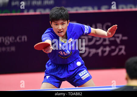 Sapporo, Hokkaido, Giappone. Credito: MATSUO. 14 Giugno, 2019. Tomokazu Harimoto (JPN) Tennis da tavolo : 2019 ITTF World Tour, LION Japan Open Sapporo Uomini Singoli a Hokkai Kitayell a Sapporo, Hokkaido, Giappone. Credito: MATSUO .K AFLO/sport/Alamy Live News Foto Stock